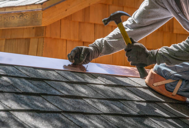Best Metal Roofing Installation  in Magnolia, AR